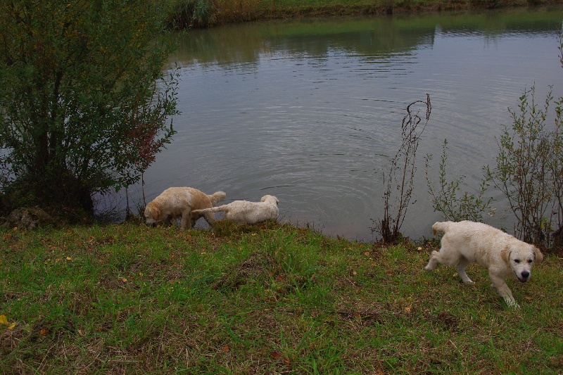 BALLADE CHEZ NOUS EN AUTOMNE