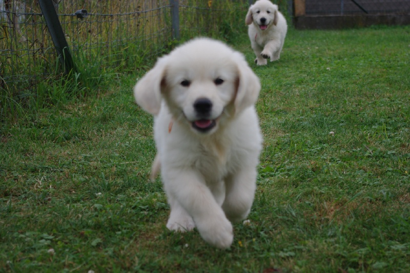SCULLY et RIPLEY